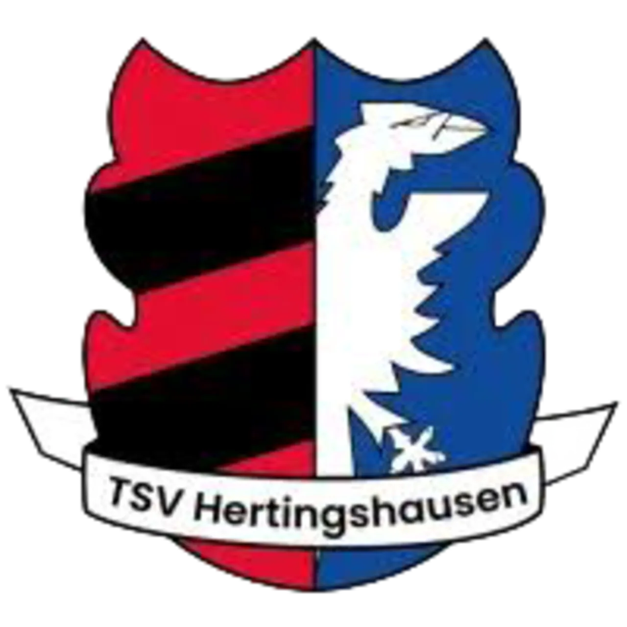 TSV Hertingshausen